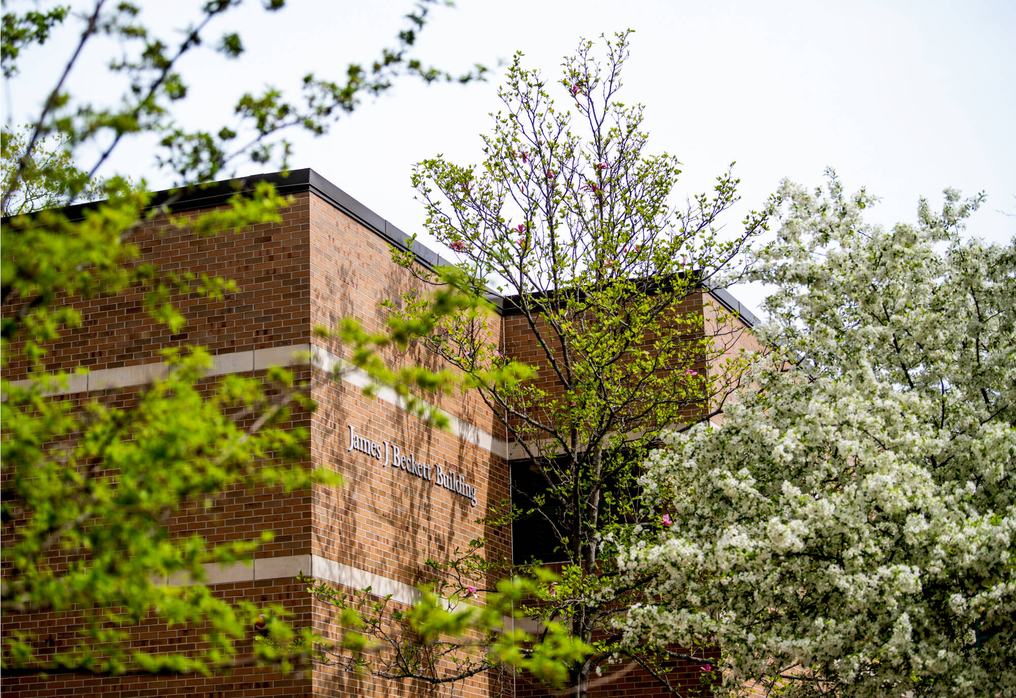 James Beckett Building on NMC's campus where GVSU is based in Traverse City